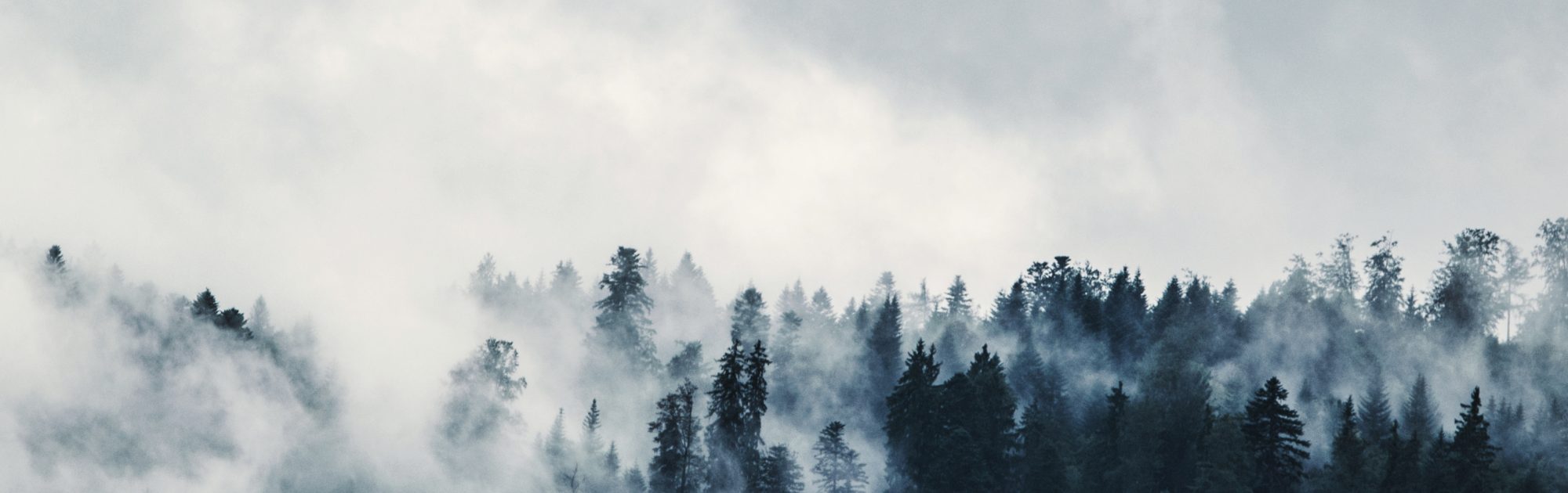 Pexels Photo 167699 2 2000x630